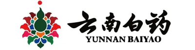 鍚堜綔浼欎即